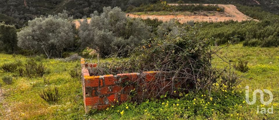Casa de aldeia T3 em São Bartolomeu de Messines de 260 m²
