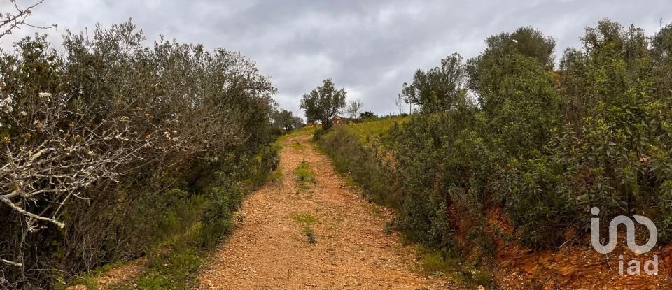 Casa de aldeia T3 em São Bartolomeu de Messines de 260 m²