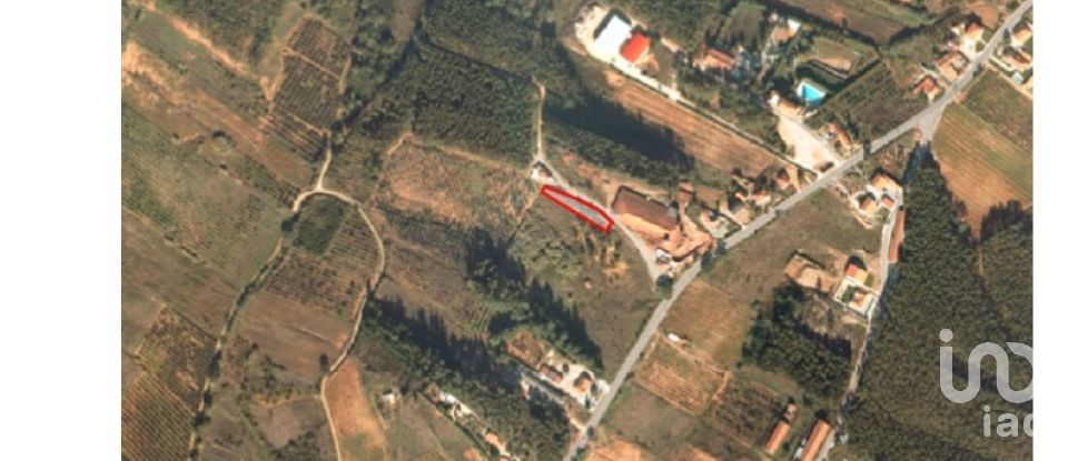 Terrain à bâtir à Cadaval e Pêro Moniz de 1 774 m²