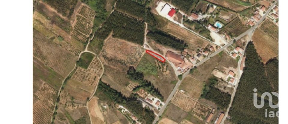 Terreno para construção em Cadaval e Pêro Moniz de 1 774 m²