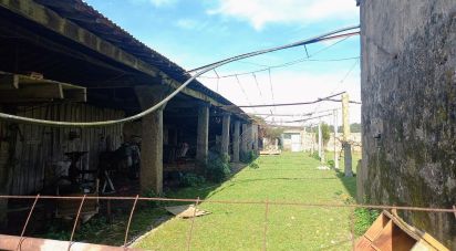 Casa de Campo T4 em Aver-O-Mar, Amorim e Terroso de 500 m²