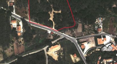 Terrain à Sintra (Santa Maria e São Miguel, São Martinho e São Pedro de Penaferrim) de 13 960 m²