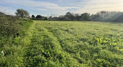 Terrain à Belinho e Mar de 1 080 m²