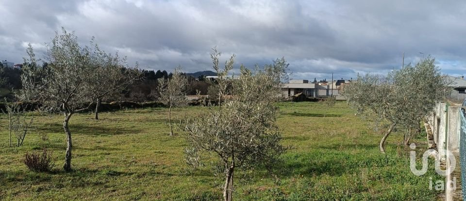 Terreno para construção em Mogadouro, Valverde, Vale de Porco e Vilar de Rei de 4 190 m²