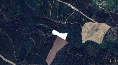 Terrain agricole à Espinhal de 8 550 m²