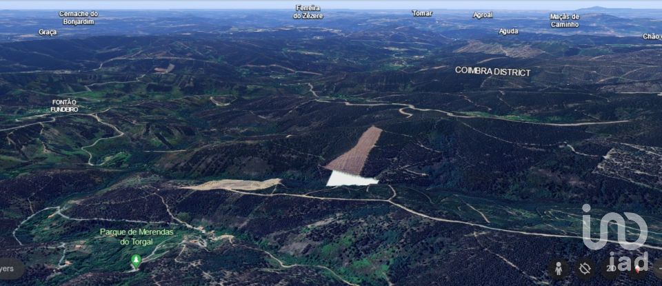 Farm land in Espinhal of 8,550 m²