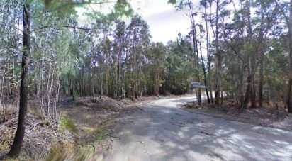 Terrain agricole à Espinhal de 800 m²