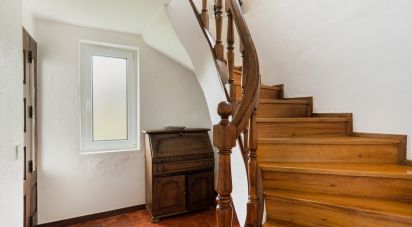 Gîte T4 à Santa Clara e Castelo Viegas de 236 m²