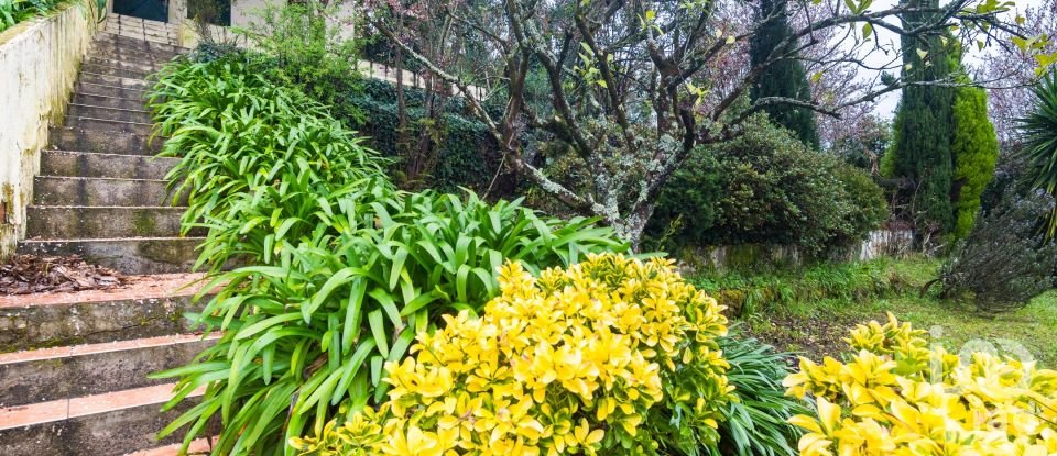 Casa T4 em Santa Clara e Castelo Viegas de 236 m²