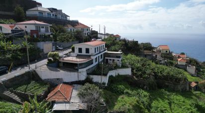 House T3 in Ribeira Brava of 231 m²
