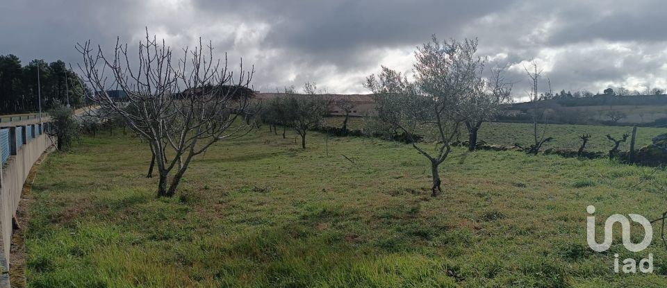 Terrain à bâtir à Mogadouro, Valverde, Vale de Porco e Vilar de Rei de 4 190 m²
