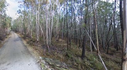 Terrain agricole à Espinhal de 10 650 m²