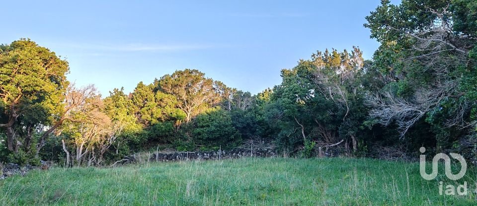 Land in Santo António of 1,160 m²