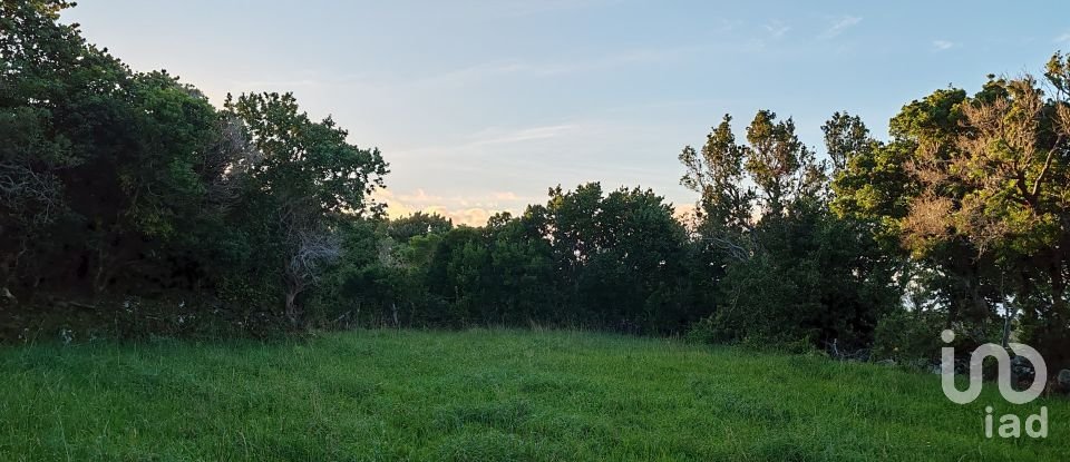 Land in Santo António of 1,160 m²