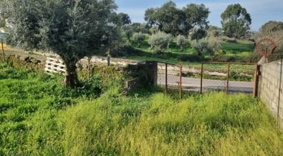 Terrain agricole à Tolosa de 8 750 m²