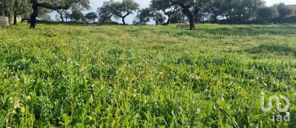 Farm land in Tolosa of 8,750 m²