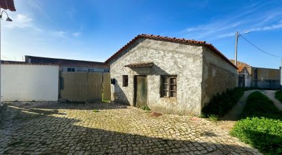 House T2 in Monte Real e Carvide of 262 m²