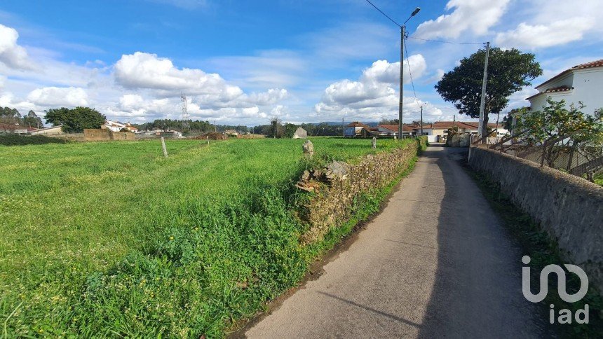 Terreno em Loureiro de 2 603 m²