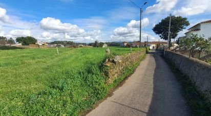 Terrain à Loureiro de 2 603 m²