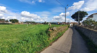 Terrain à Loureiro de 2 603 m²