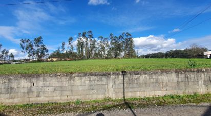 Terrain à Loureiro de 4 464 m²
