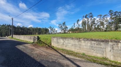 Terrain à Loureiro de 4 464 m²