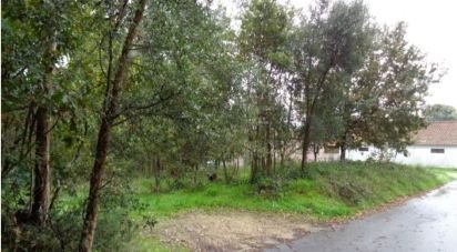 Terrain à Ovar, São João, Arada e São Vicente de Pereira Jusã de 7 047 m²