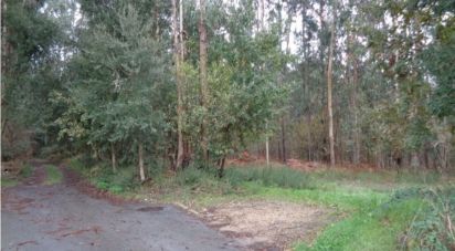 Terrain à Ovar, São João, Arada e São Vicente de Pereira Jusã de 7 047 m²