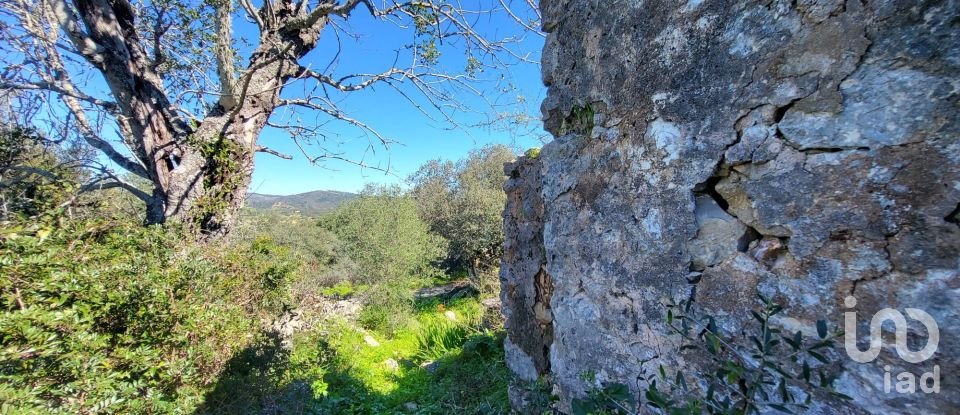 Land in São Brás de Alportel of 2,210 m²