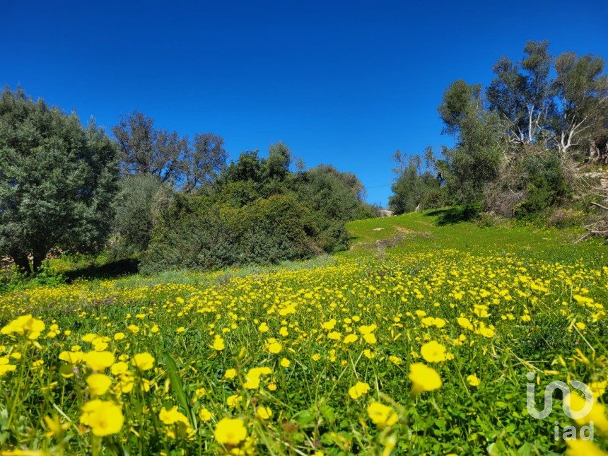 Land in São Brás de Alportel of 2,210 m²