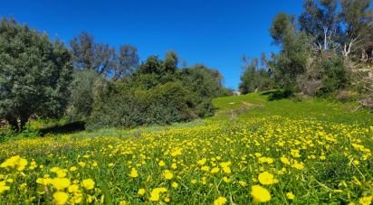 Land in São Brás de Alportel of 2,210 m²