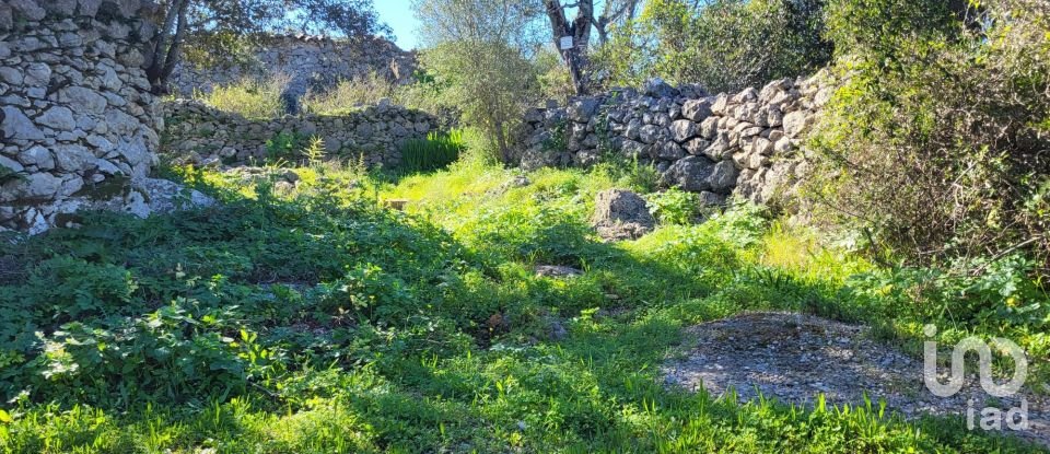 Land in São Brás de Alportel of 2,210 m²