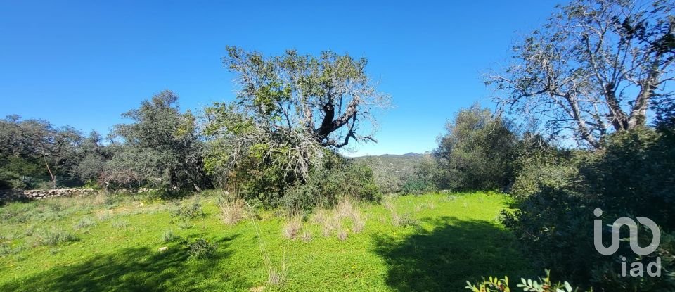 Land in São Brás de Alportel of 2,210 m²