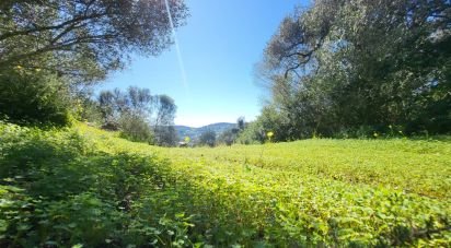 Land in São Brás de Alportel of 2,210 m²