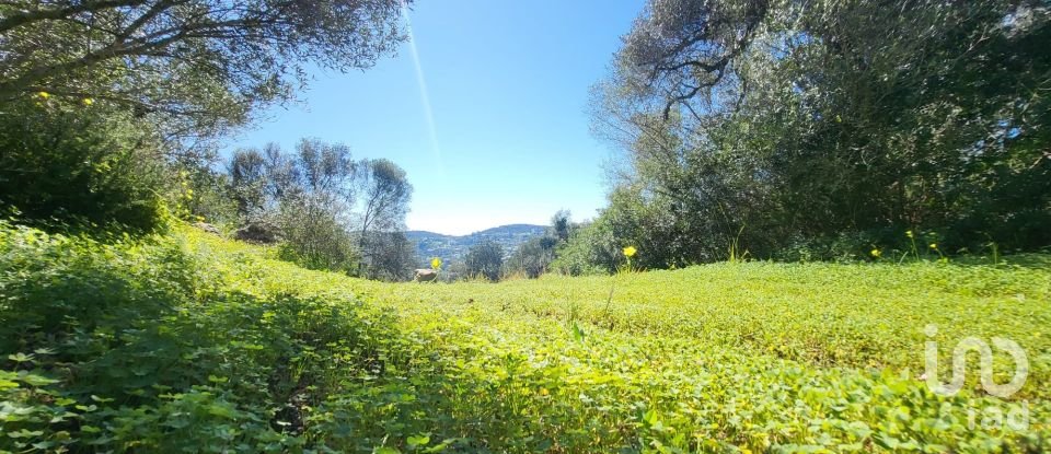 Land in São Brás de Alportel of 2,210 m²