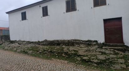 Maison rustique T4 à Salsas de 116 m²