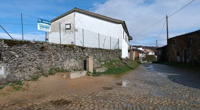 Maison rustique T4 à Salsas de 116 m²