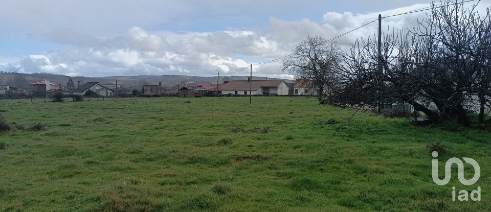 Maison rustique T4 à Salsas de 116 m²