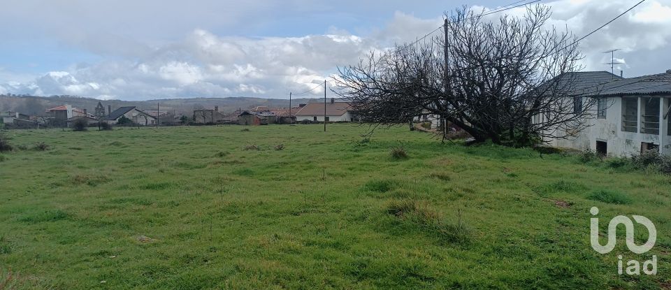 Maison rustique T4 à Salsas de 116 m²