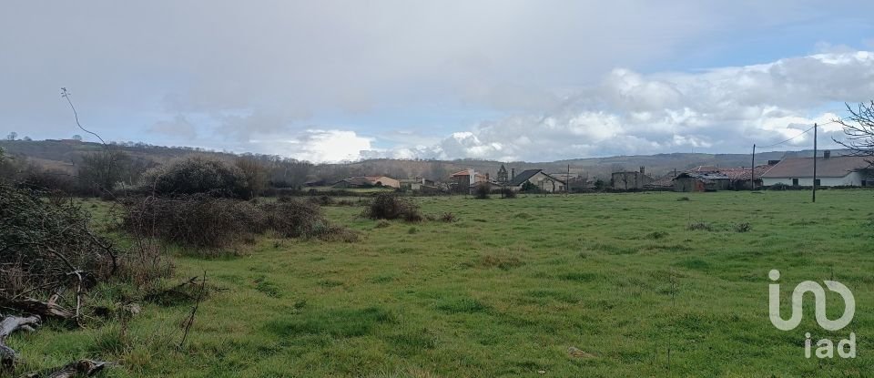 Maison rustique T4 à Salsas de 116 m²