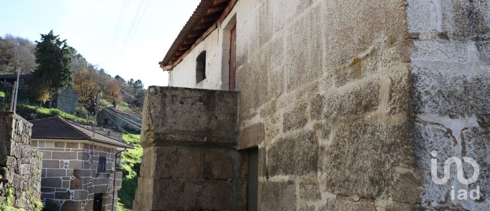 Village house T6 in Telões of 650 m²