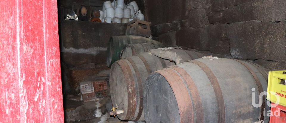 Village house T6 in Telões of 650 m²