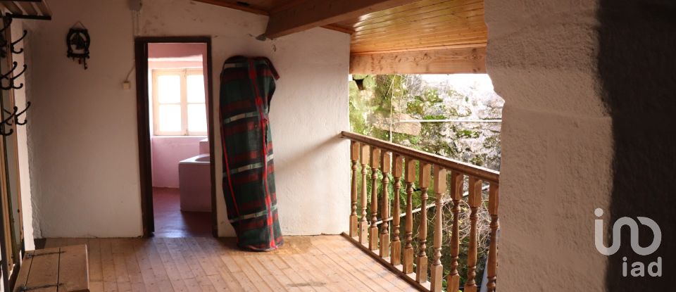 Village house T6 in Telões of 650 m²