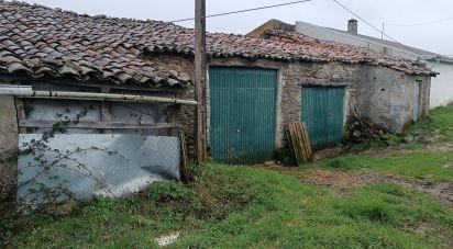 Maison T0 à Salsas de 250 m²