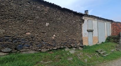 Maison T0 à Salsas de 250 m²