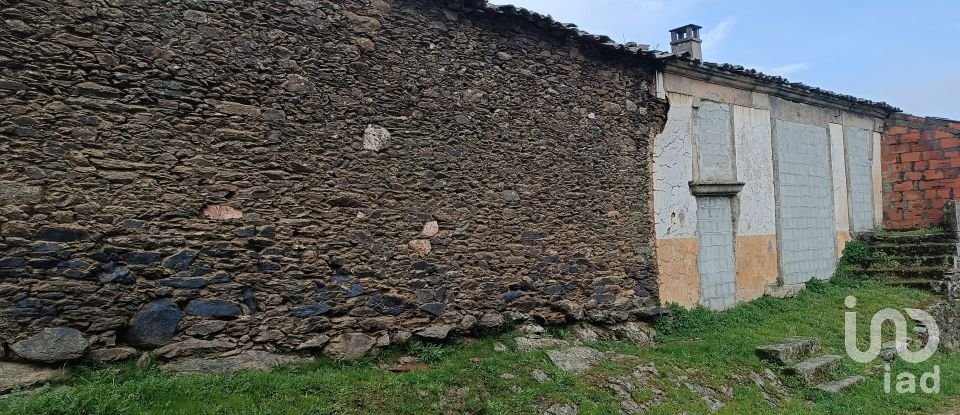 Moradia T0 em Salsas de 250 m²