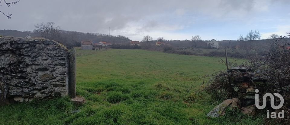 Moradia T0 em Salsas de 250 m²