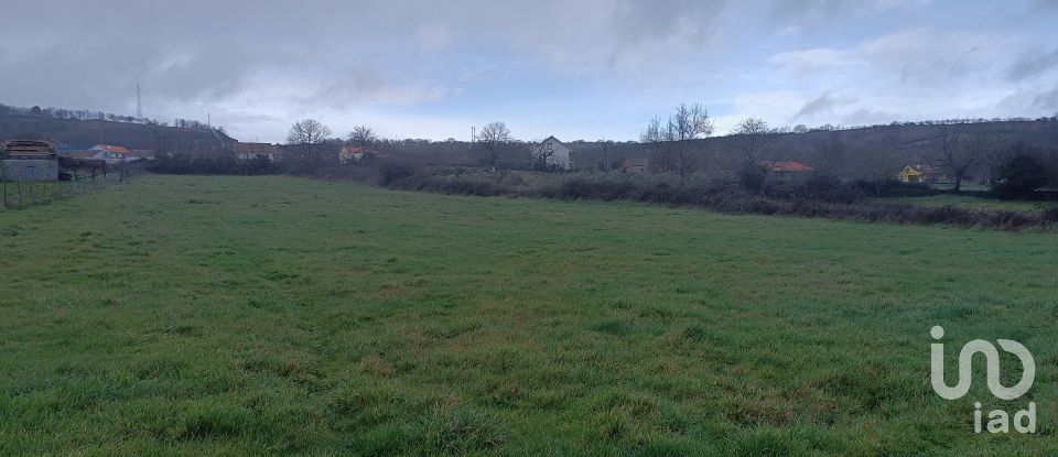 Moradia T0 em Salsas de 250 m²