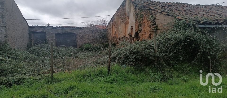 Moradia T0 em Salsas de 250 m²