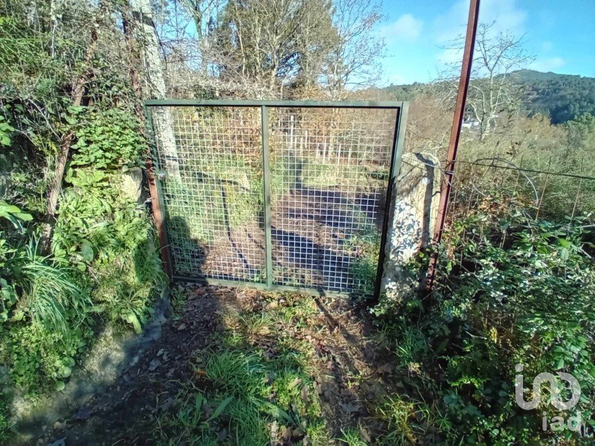 Terrain à Cristoval de 10 043 m²